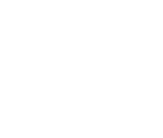 Model United Nations